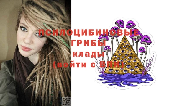 амф Горнозаводск
