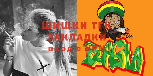 молекула духа Горно-Алтайск