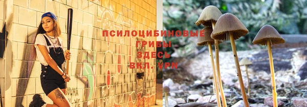 mdma Горняк