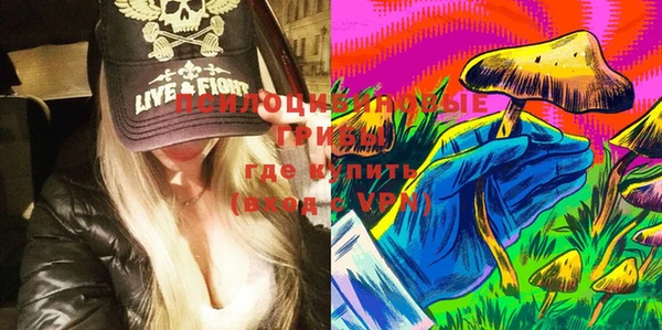 молекула духа Горно-Алтайск